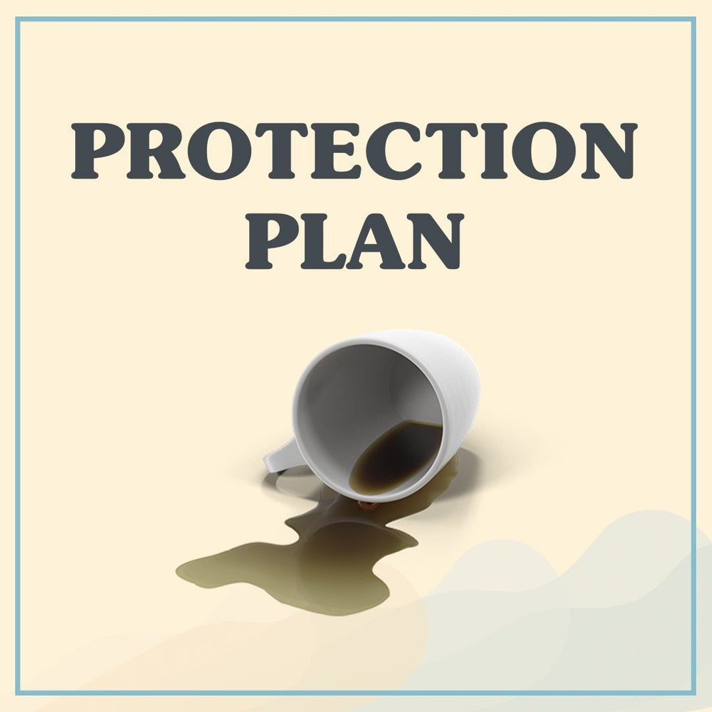 Rug 2 Year Protection Plan - for $250+